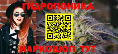 прущие грибы Ипатово