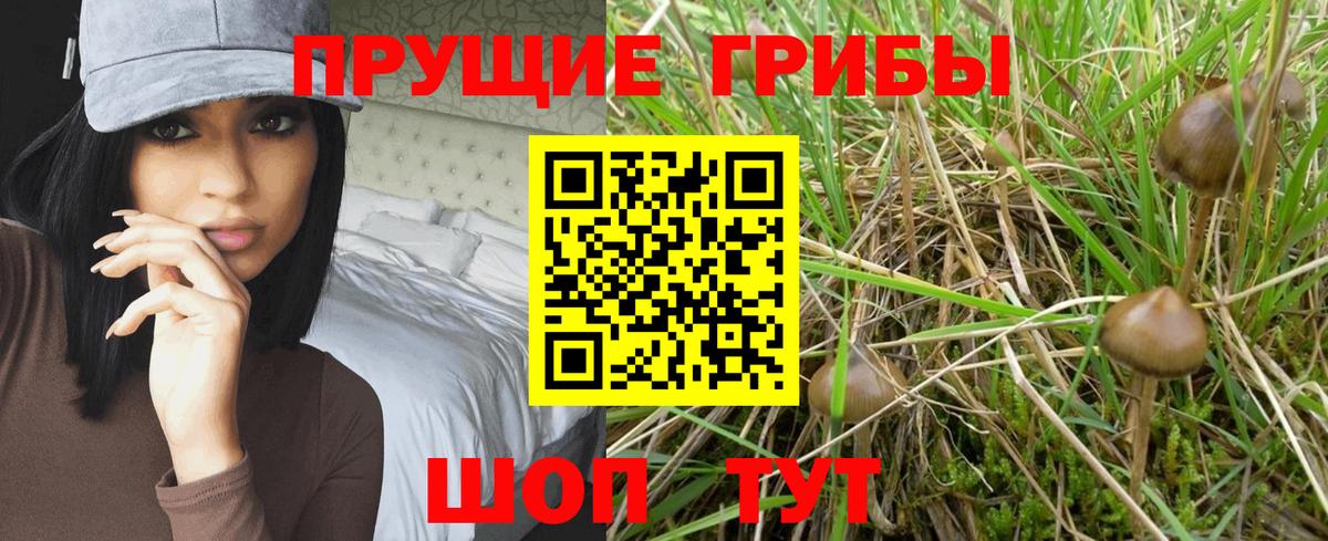 Галлюциногенные грибы MAGIC MUSHROOMS Родники
