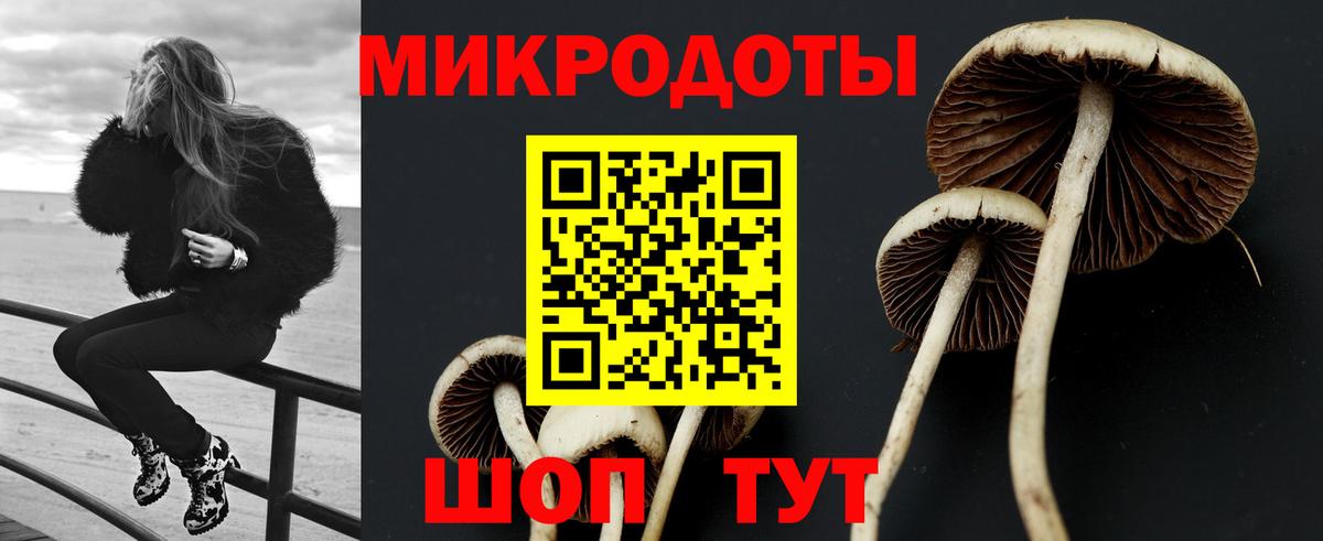 Галлюциногенные грибы Psilocybine cubensis  Галлюциногенные грибы Psilocybine cubensis  Вход с VPN  Родники 